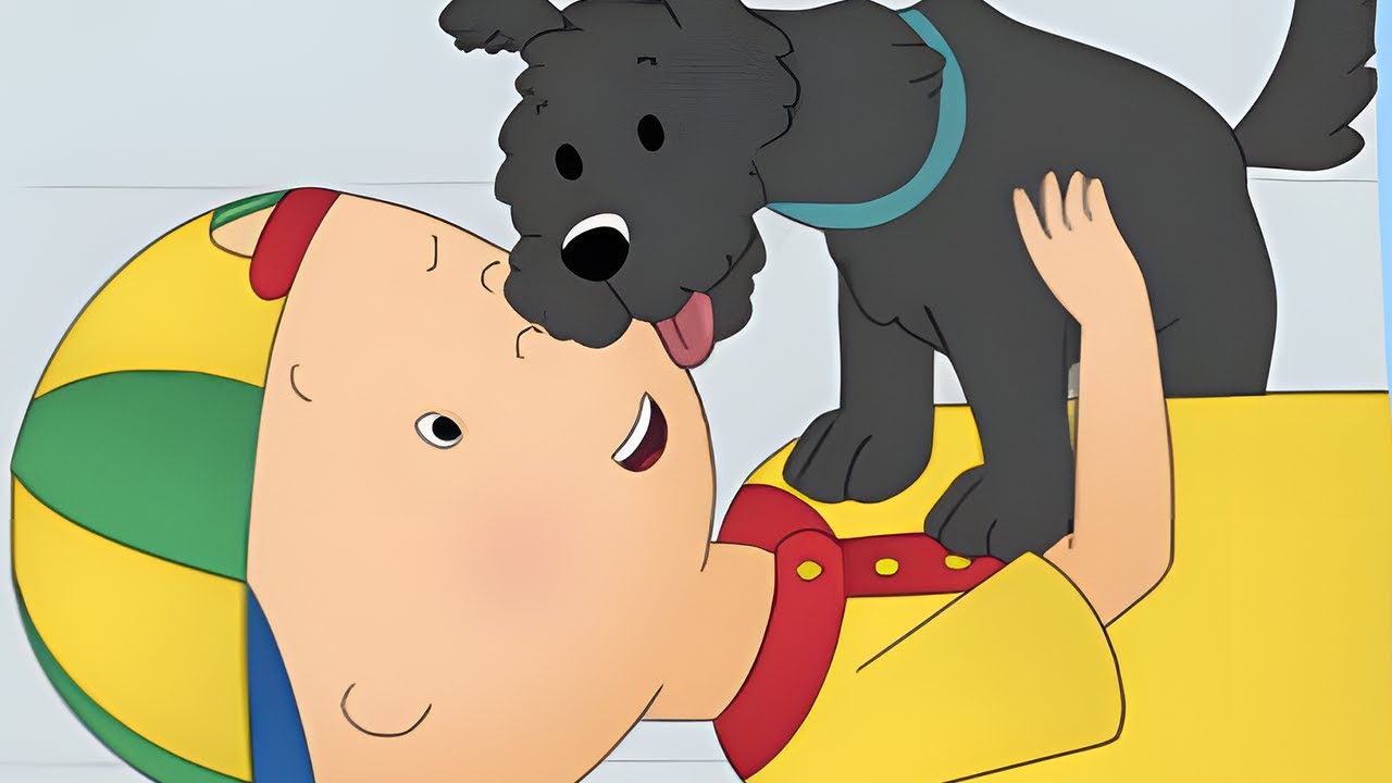 Pepper le Chien| Les Nouvelles Aventures de Caillou