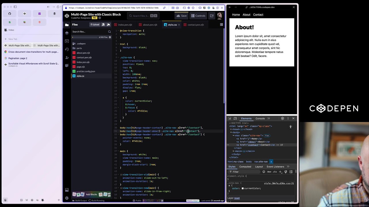 Basic, But Custom, Multi-Page Transitions