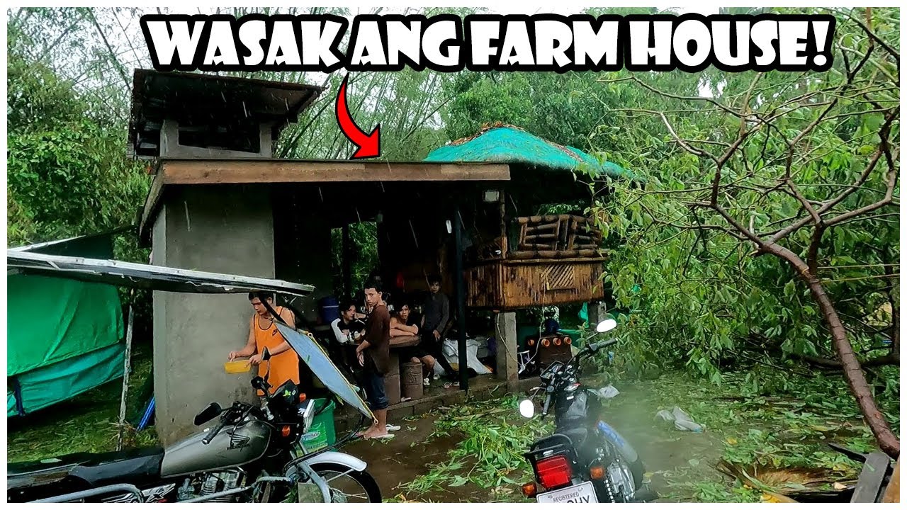 Pinsala ng Bagyong Aghon sa Aking Farm at Negosyo