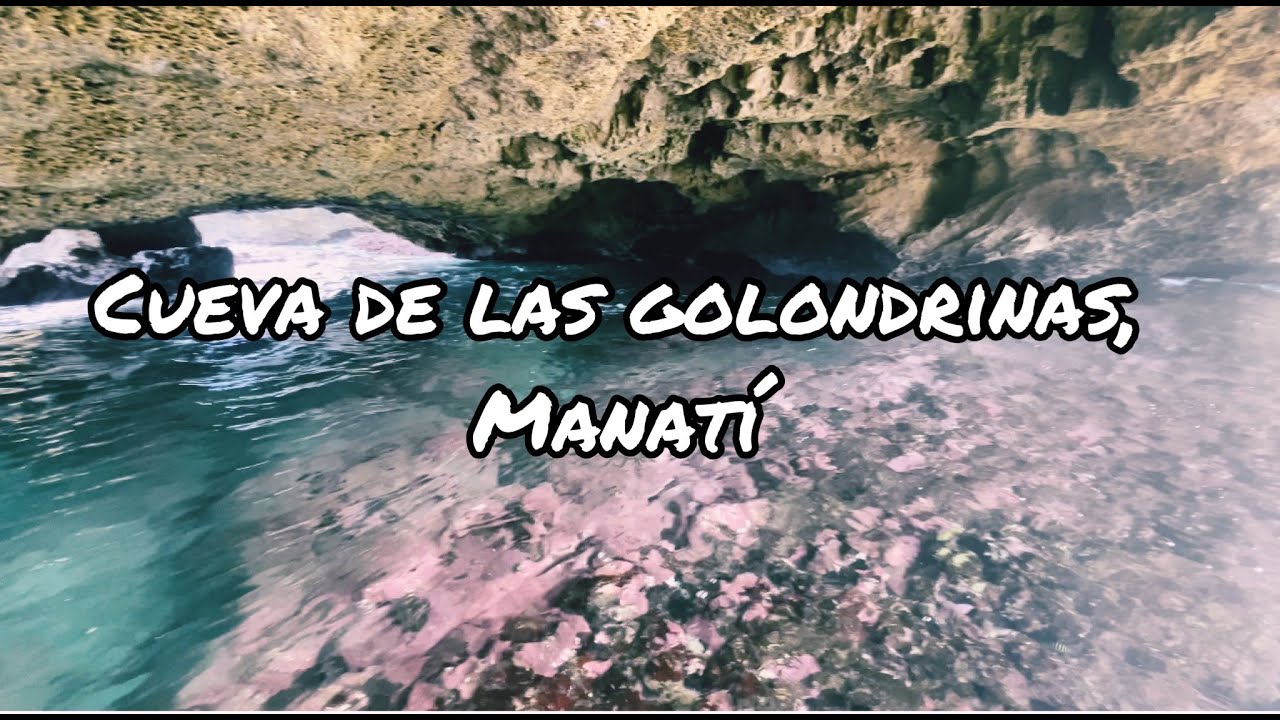 Cueva de las golondrinas, Manatí PR