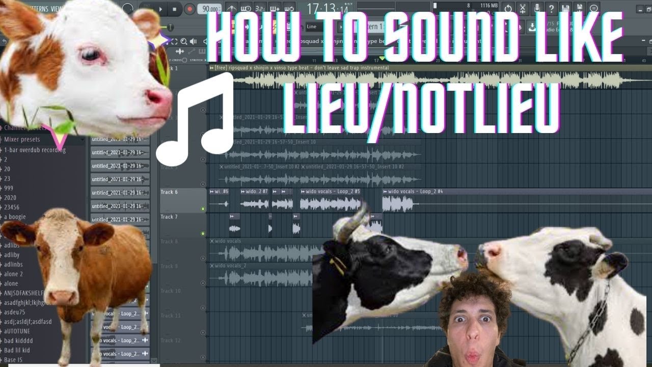 How to mix and master HYPERPOP vocals like lieu (notlieu) [Using Gross Beats]