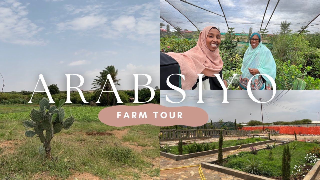 We found a LANDSCAPE DESIGNER 45mins outside of Hargeisa Somaliland 2022