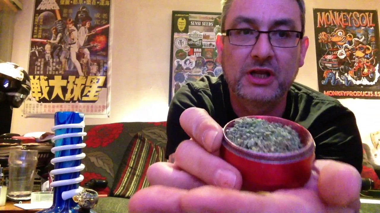 Amnesia Haze strain review.