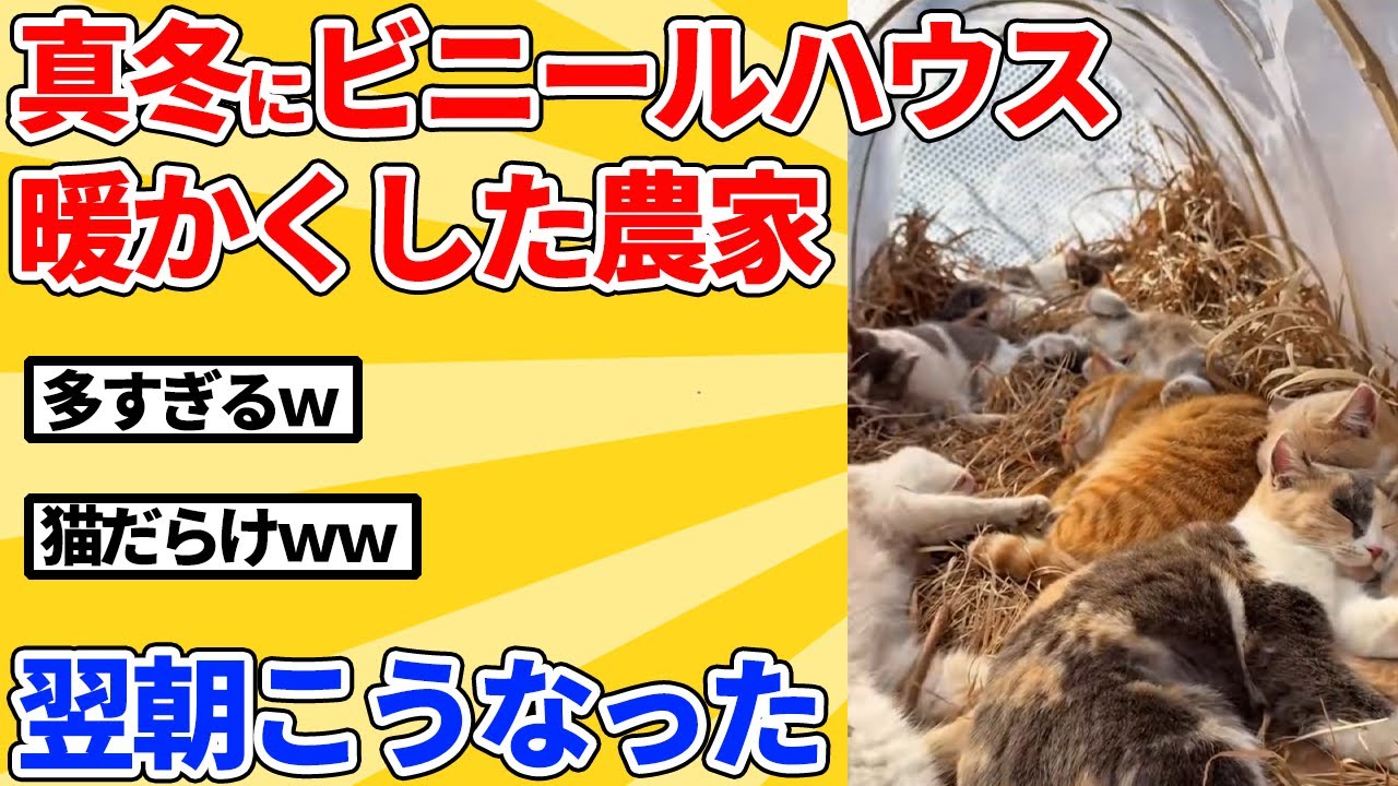 【2ch動物スレ】真冬にビニールハウスを暖かくした農家→翌朝、まさかの事態にｗｗｗｗｗ