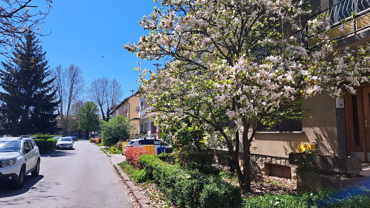 Slavonski Brod 7. travnja 2026. #slavonskibrod #croatia #travel #hrvatska #korzo #slavonija 