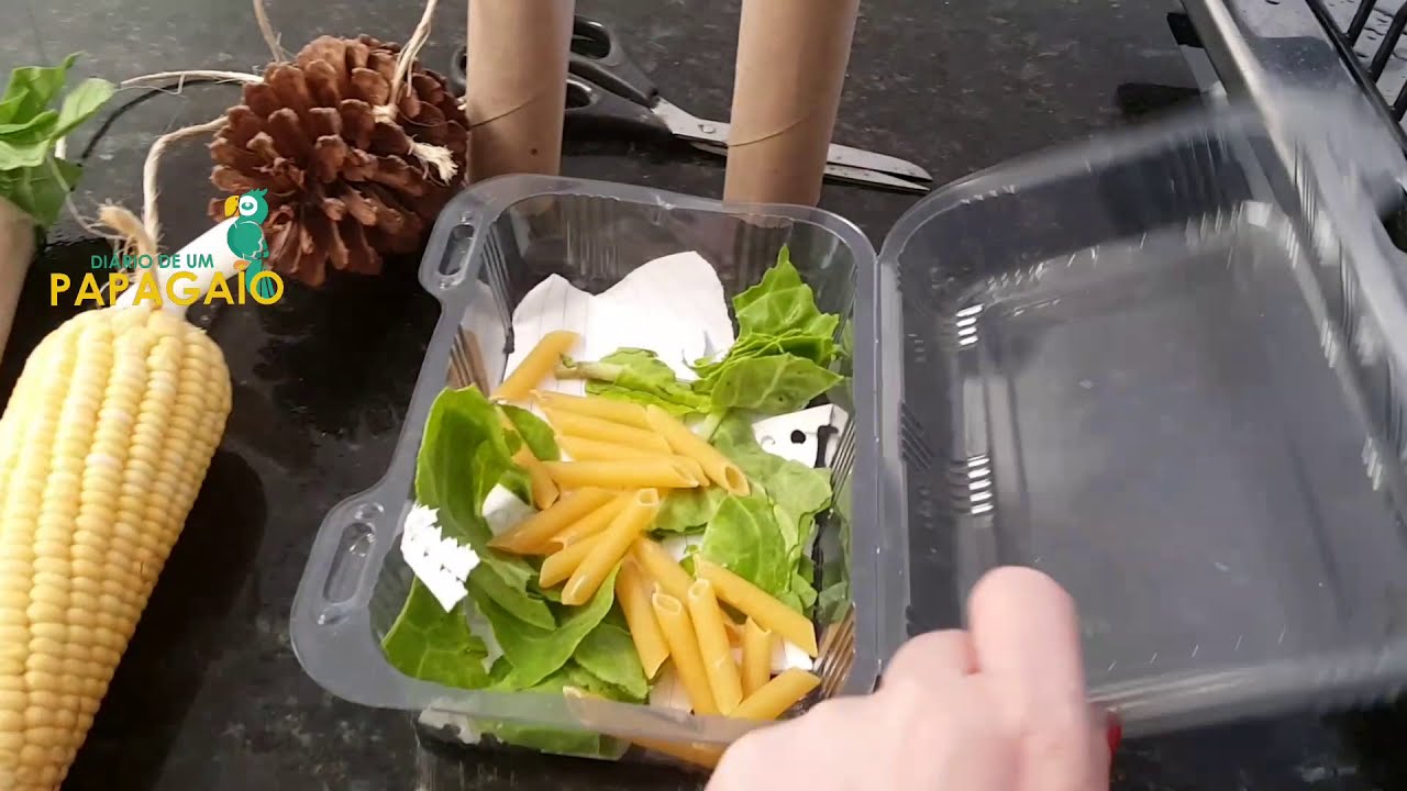 Brinquedo para os Papagaios