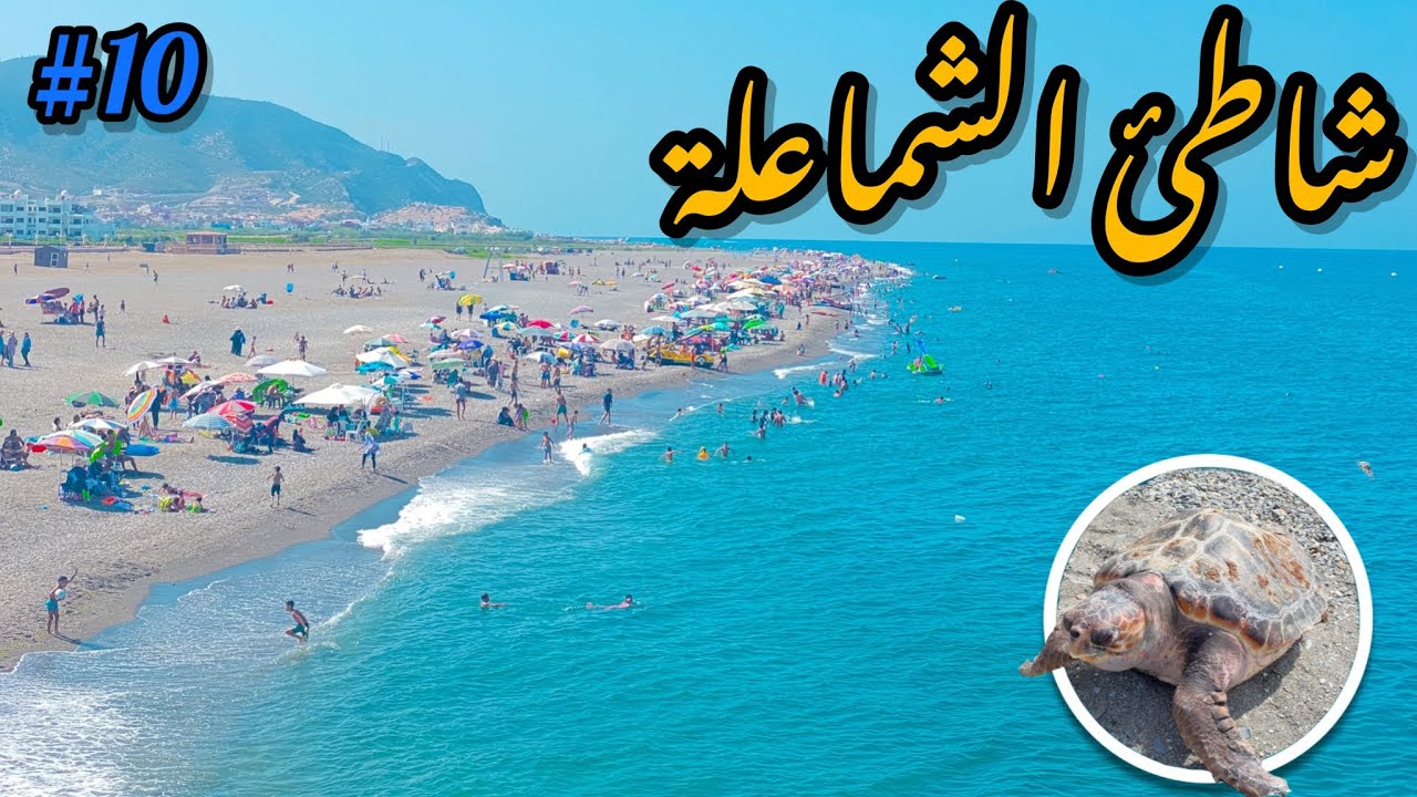 #سلسلة_شاطئ_ومعلومة                             شاطئ الشماعلة