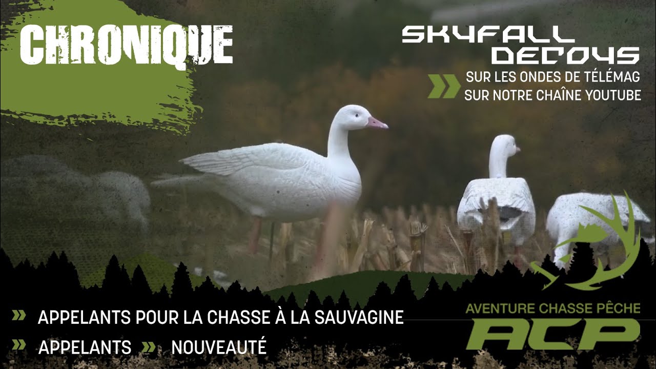 Skyfall Decoys - Pr&eacute;sentation des appelants pour la sauvagine