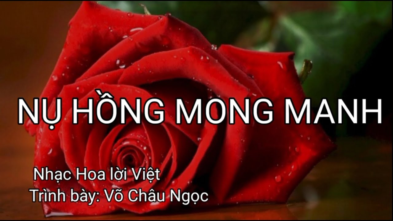 NỤ HỒNG MONG MANH (TẬP HÁT) - VÕ CHÂU NGỌC