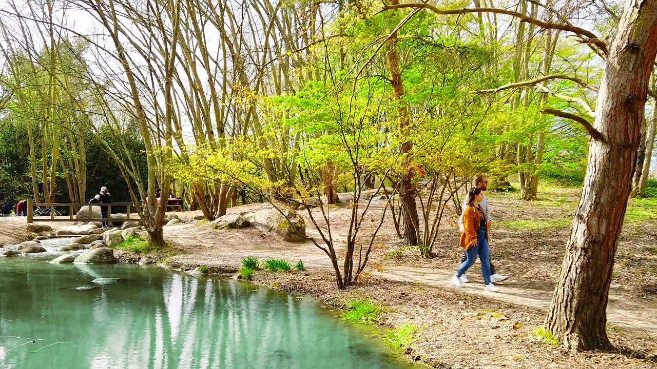 Relaxing Walk Bordeaux 4k France / Barails Ecological Reserve / Réserve écologique des Barails