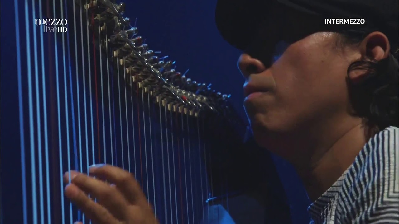 Edmar Castaneda - Colibri