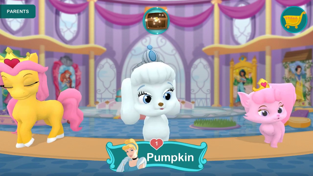 Play Fun with Palace Pets in Whisker Haven | Pet Games for Girls