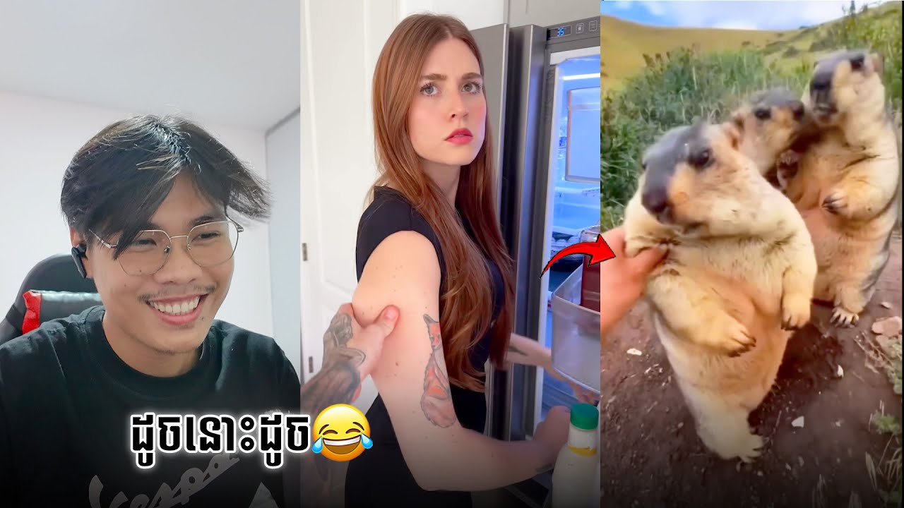 លេងជាមួយខ្លា🤣 | SixTy Reacts