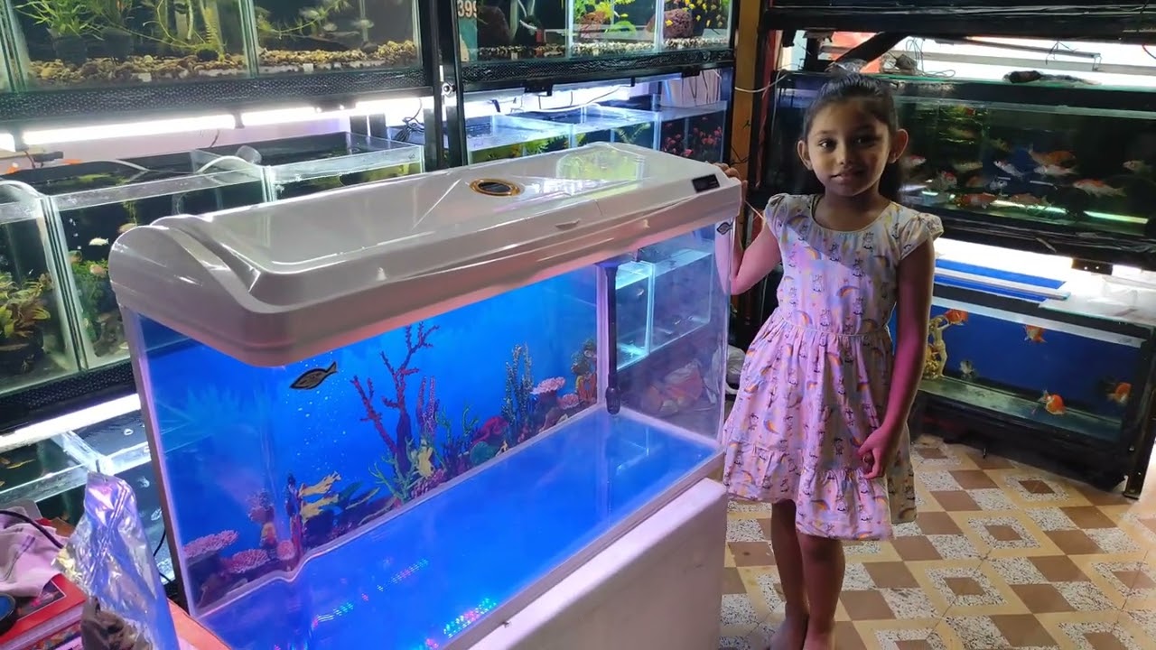 RS-1000EL Aquarium | 3 Feet Large Aquarium | Aquarium Shop In Ahmedabad | Modern Aquarium Tank setup