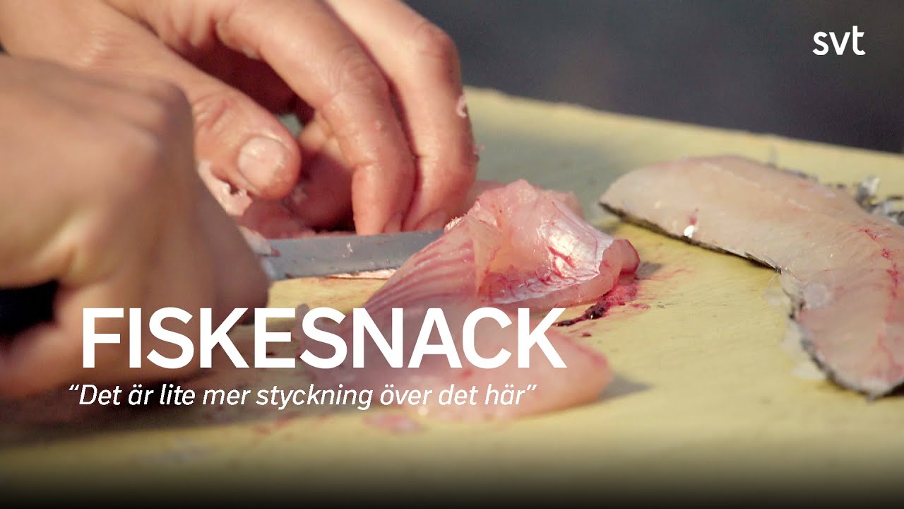 Så filear du din gädda som ett proffs  | Fiskeliv | SVT
