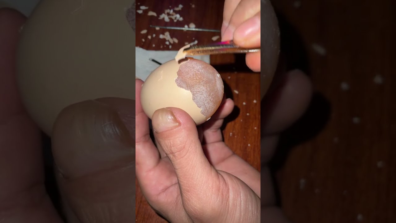 Raw Egg Peeling Challenge #32 #egg #funyvideo #satisfying