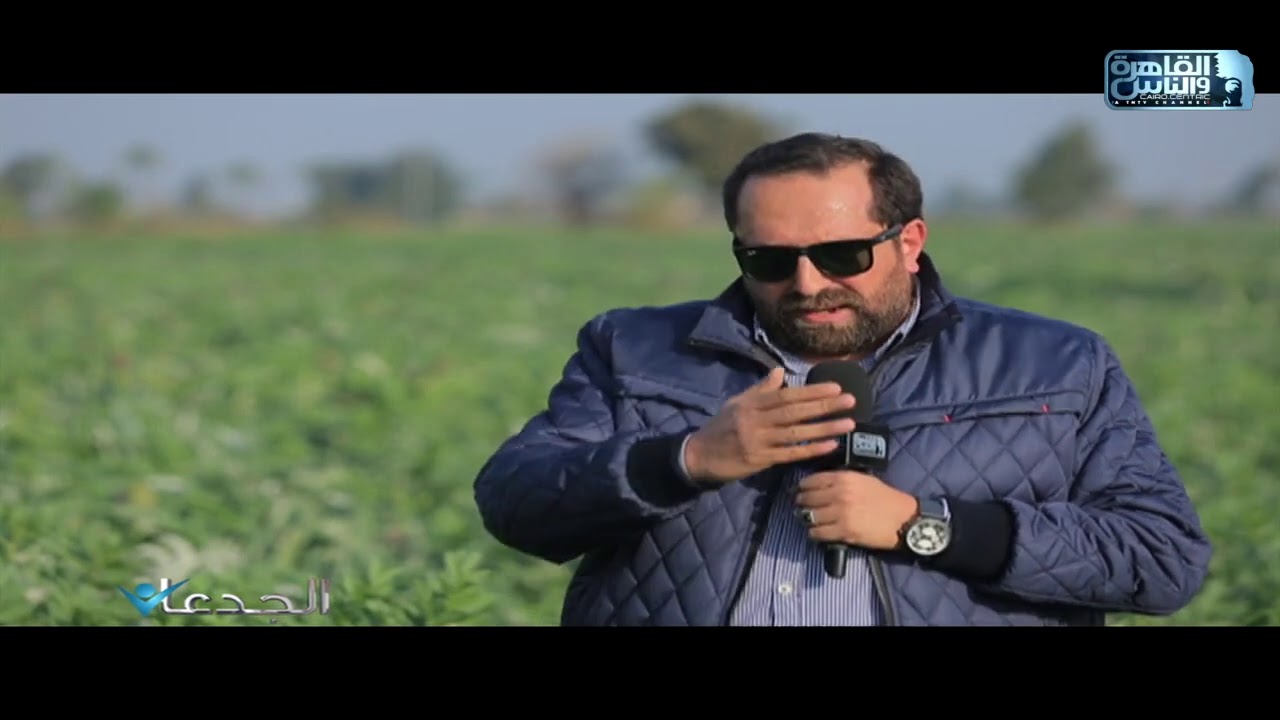 م.محمد فتحي سالم: هدفي رفع إنتاجية. فدان الخرشوف الواحد إلى ٥٠ ألف ثمرة