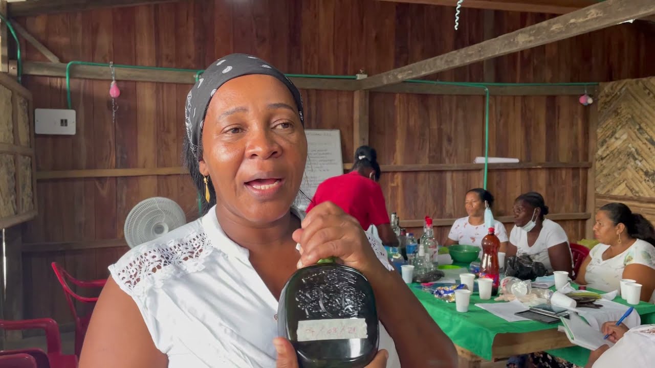 La ruta de la vainilla: diversificación productiva con vanilla planifolia silvestre en Bahía Solano