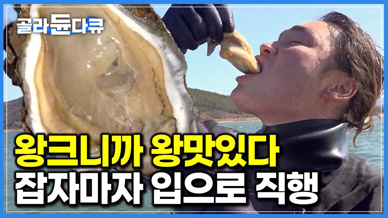어른 손바닥만 한 초대형 민물 굴 잡자마자 입으로 직행｜아는 사람한테만 보이는 귀한 해산물｜섬진강 벚굴 채취 현장｜극한직업｜#골라듄다큐