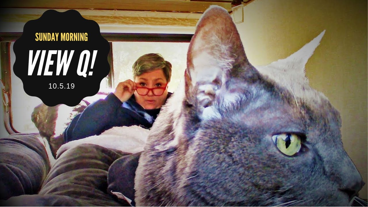 VIEWER QUESTIONS! Today: Winter RVing,Tools, Data Downsize, Loose Cats, and more!