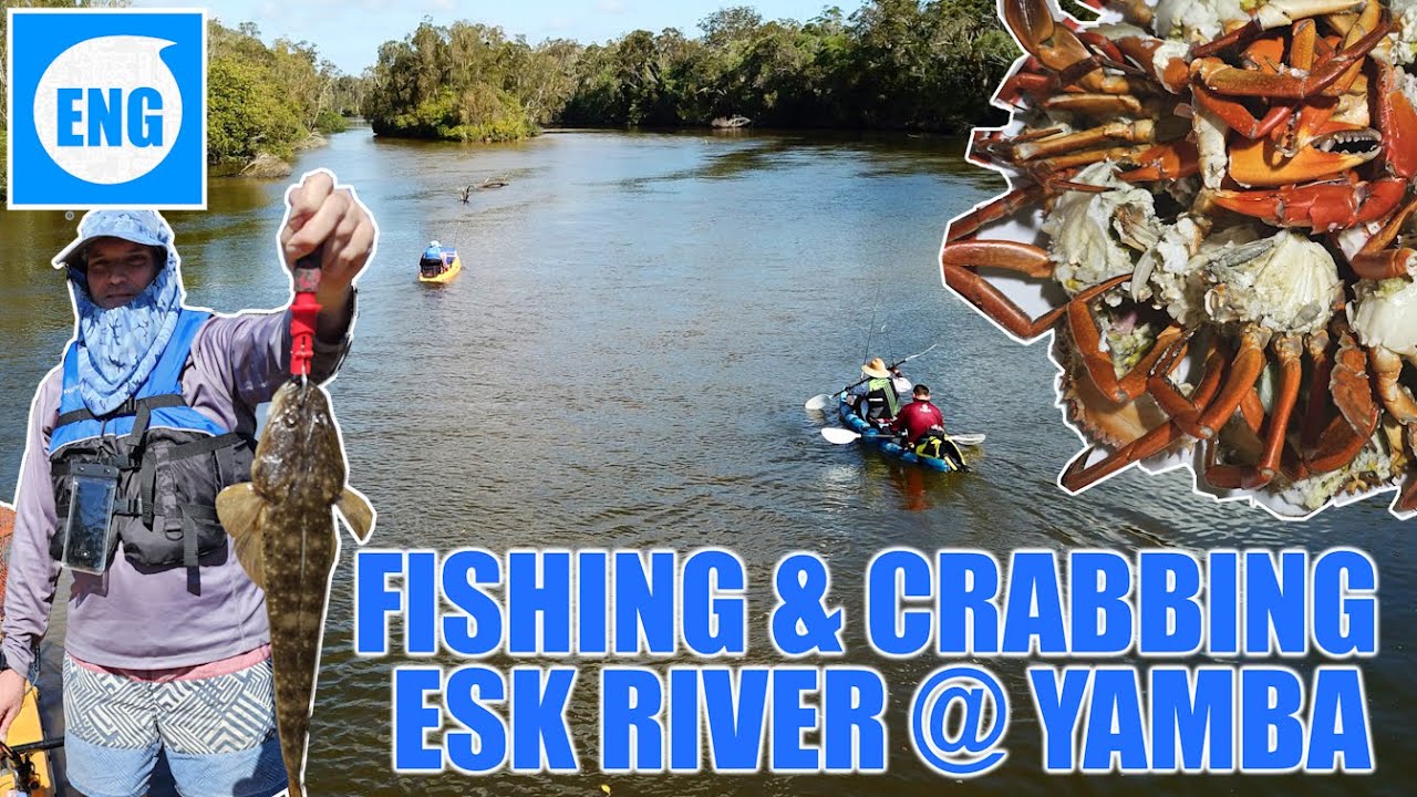 『YAMBA』✅ KAYAK CRABBING ✅ FISHING ✅ CATCH & COOK