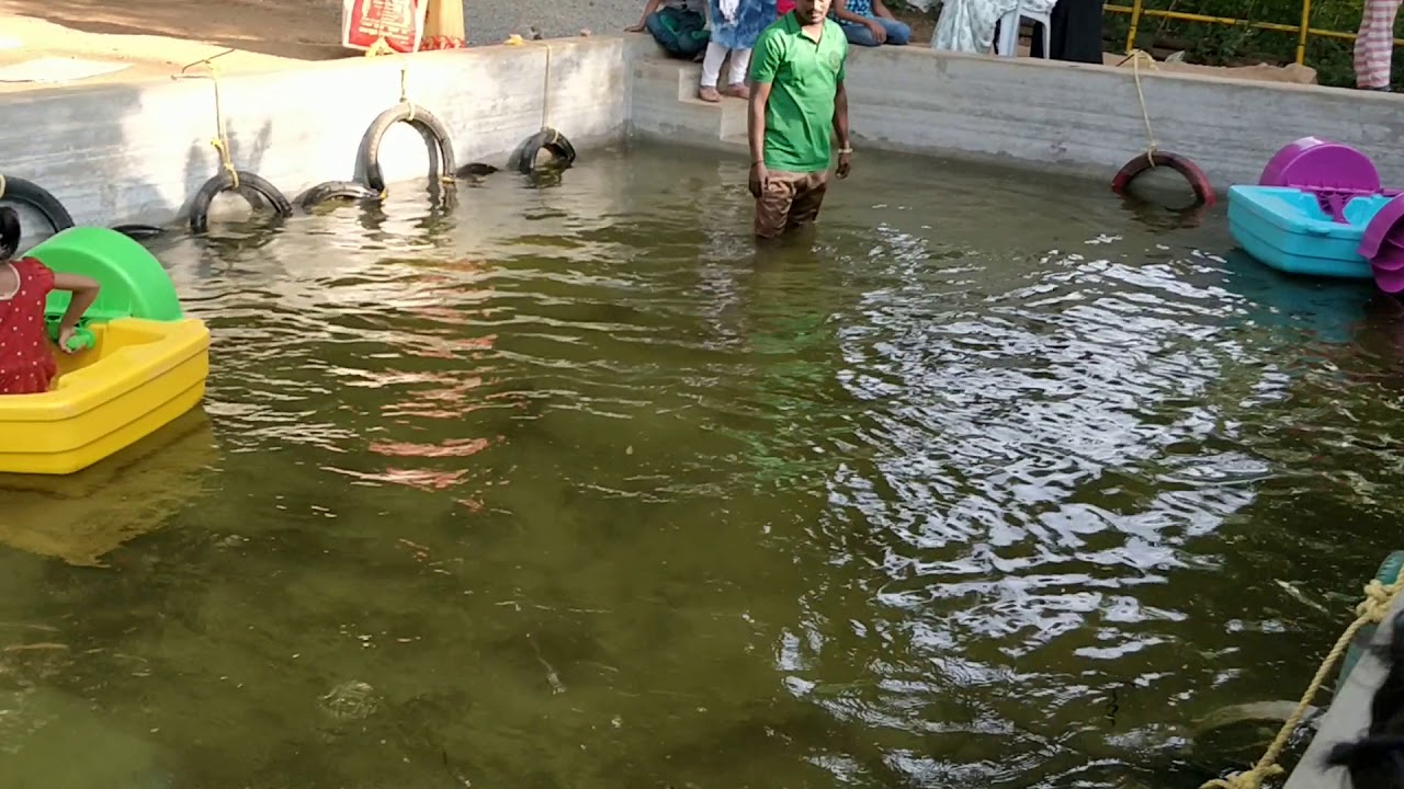 Kids boating|Mayuri Haritha Vanam|Appanapalli|Mahabubnagar dist.