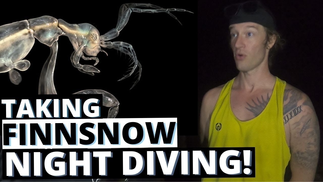 Night Diving around Dauin - Scary or awesome??