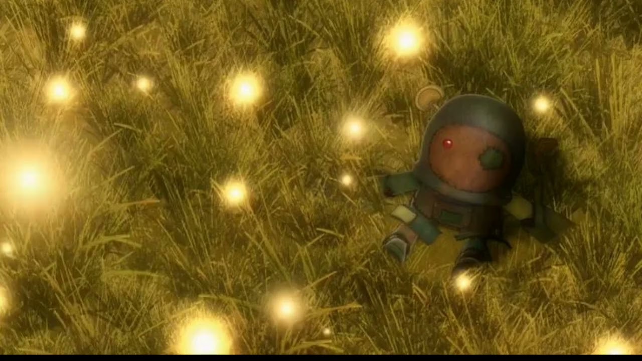 field of flowers - inst