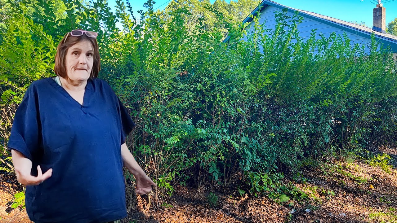 TOWNSHIP THREATENS ELDERLY GRANDMA for Overgrown Yard, Who's Behind this?