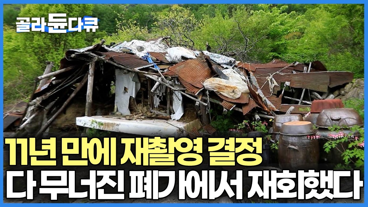 제작진이 기억에 남았던 할머니를 다시 찾아갔다, 이제 90세가 넘었을 나이. 폐가가 된 집에서 마주한 뜻밖의 인물｜오지마을 가야산 신계리｜한국기행｜#골라듄다큐