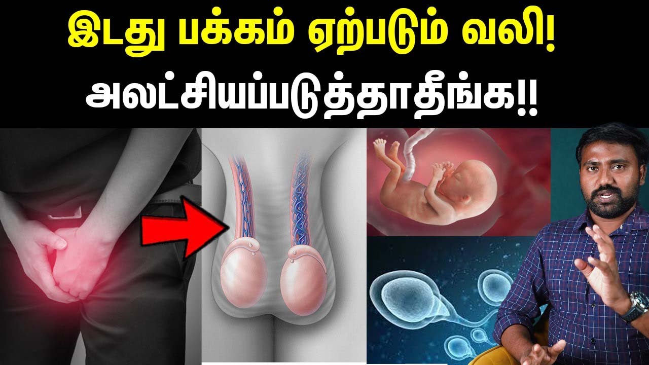 நரம்பு சுருண்டு போகும் அபாயம்! | Causes, symptoms & cure for Varicocele explained in Tamil | Uyirmei