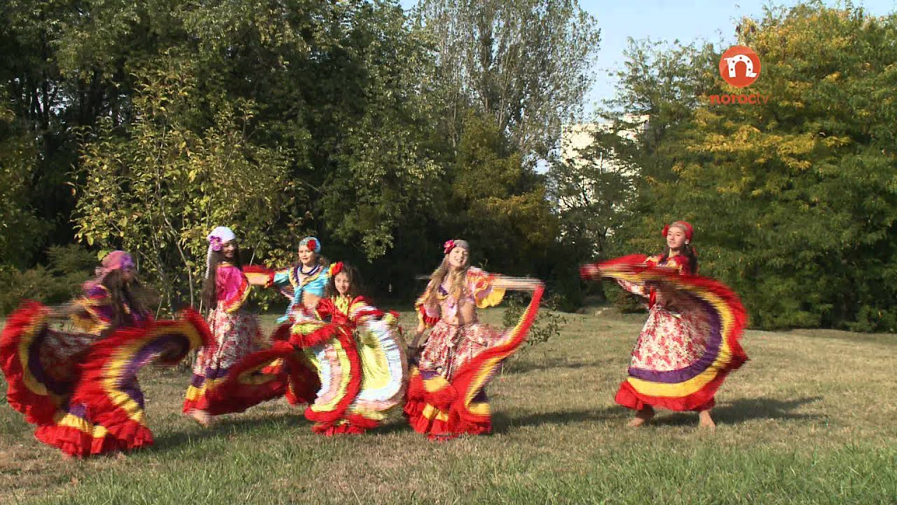 Alexandrina Palcă  - Ţigăncuşa