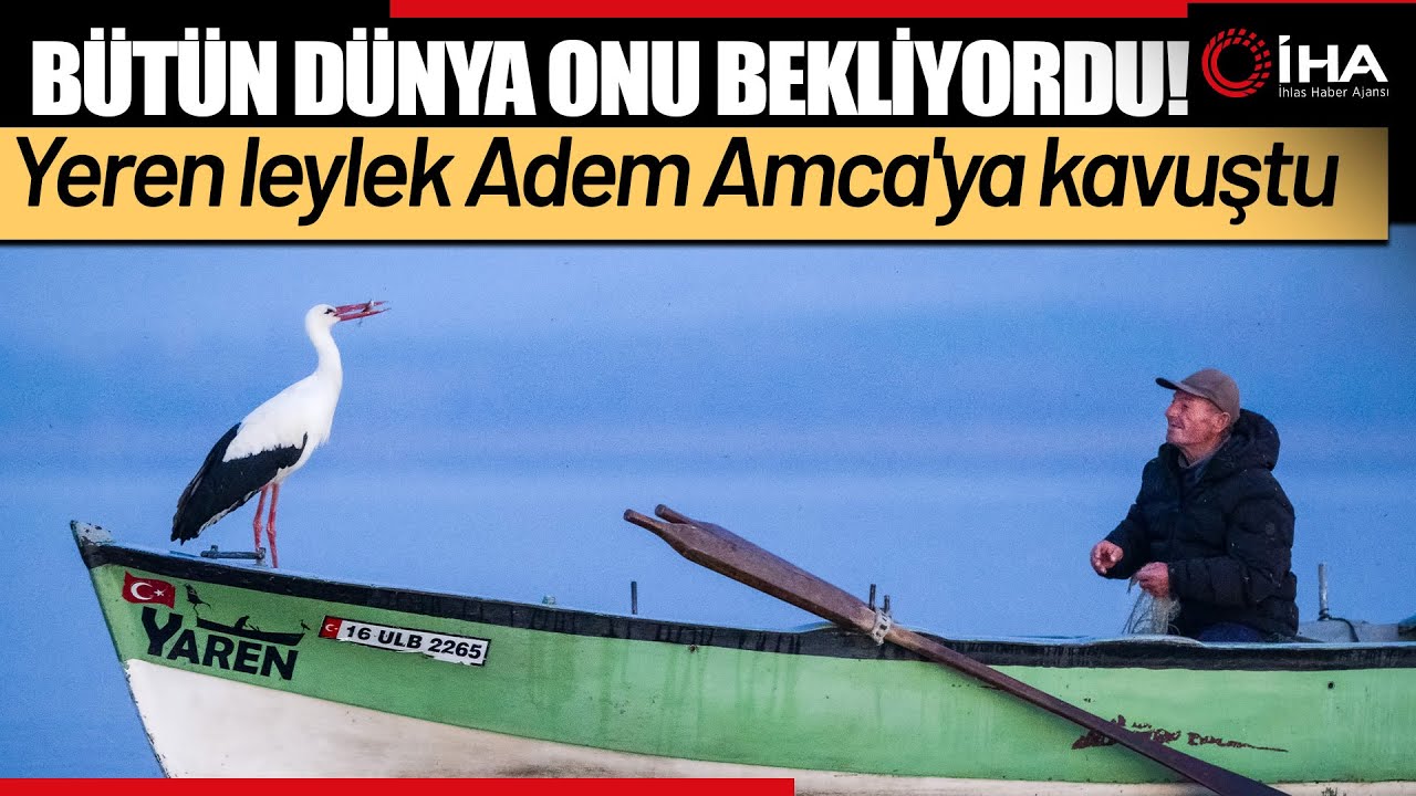 Yaren Leylek 14. Kez Balıkçı Adem Amca'ya Kavuştu