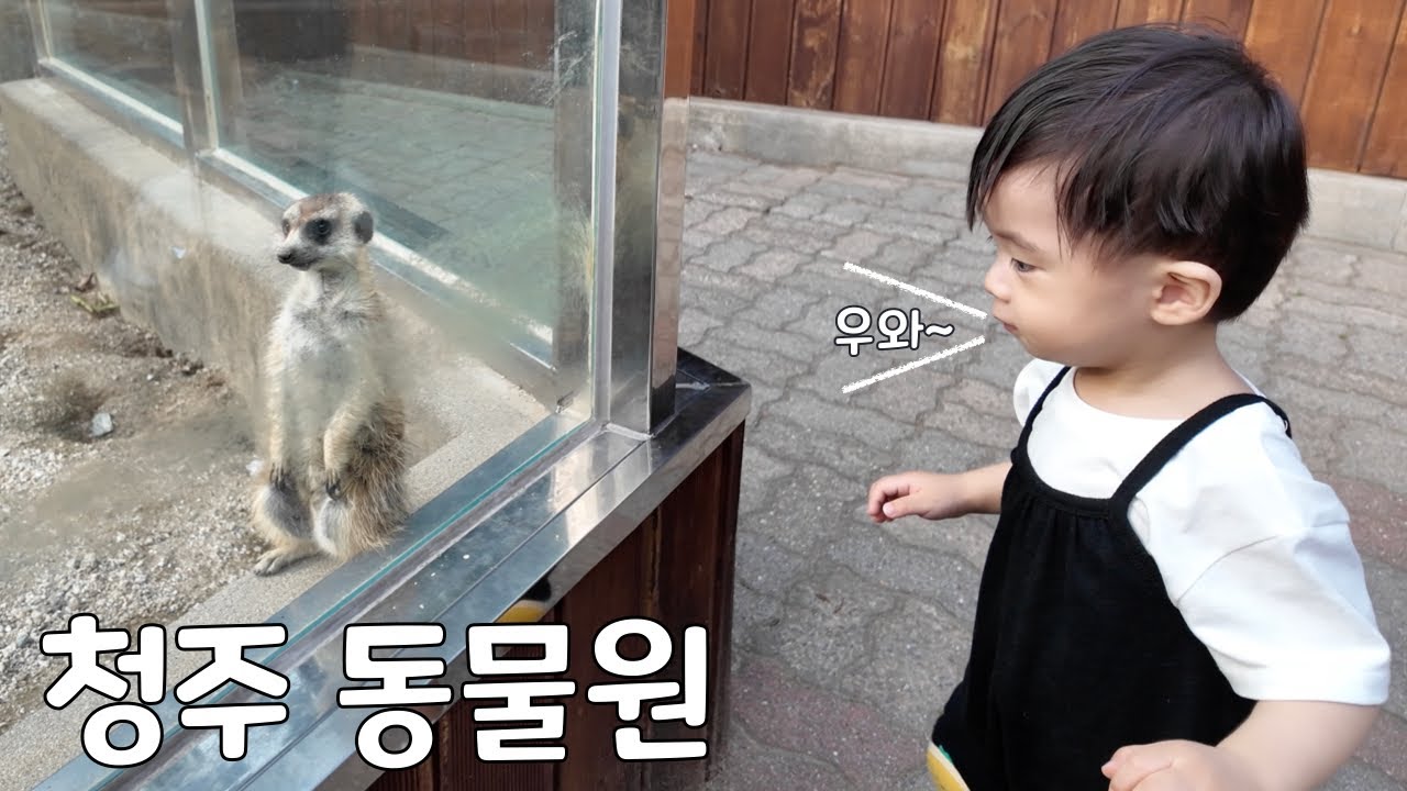 [2025년 시작🦁] 청주 동물원 데이트! (목살 맛집 알아냈다!)