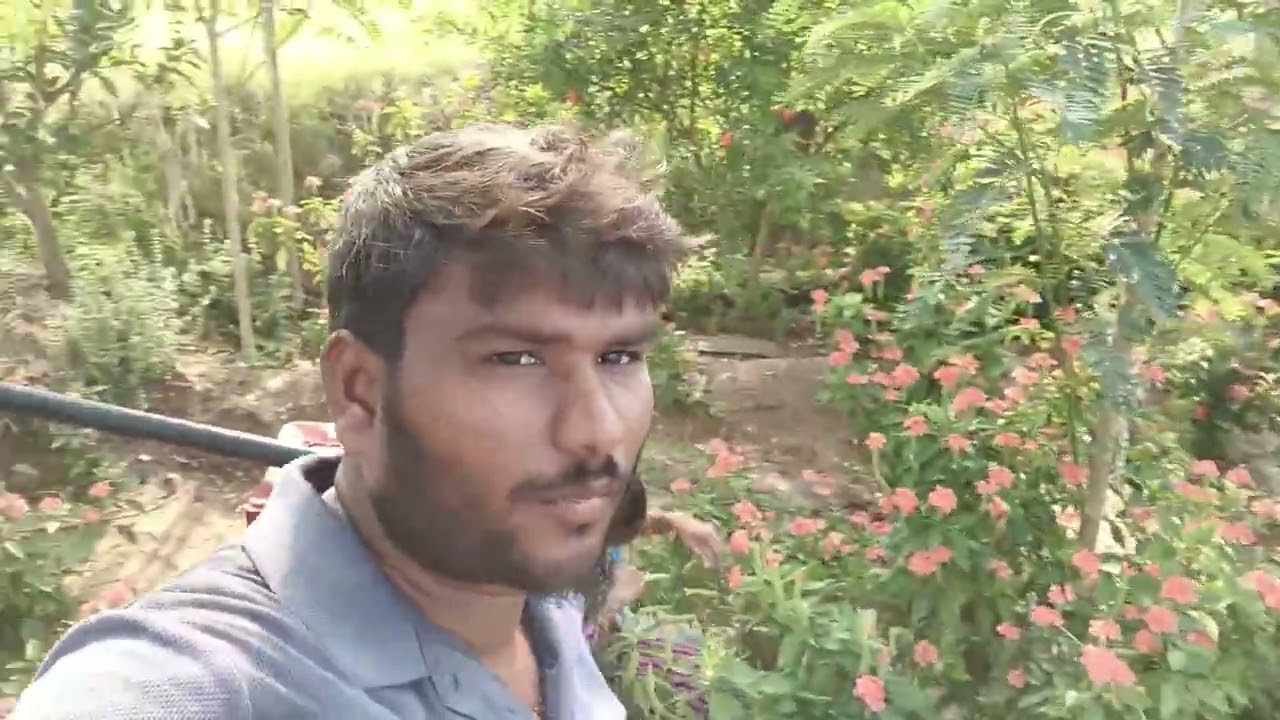 చాలా రోజుల తరువాత మళ్ళీ కనకంబరాలు తోటలో వీడియో తీసినాను ఫ్రెండ్స్ ఎలావుంది మాతోట 