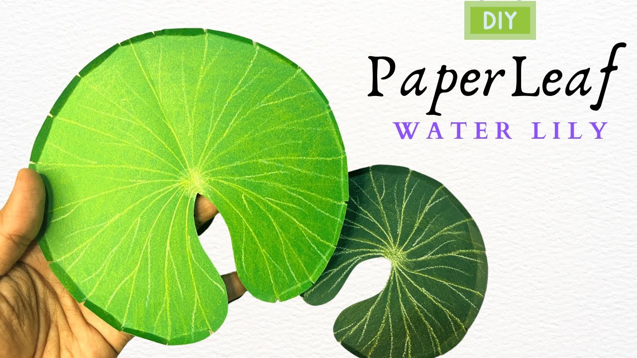 How to make a paper leaf || Lotus leaf #diy #colourpapercraft 