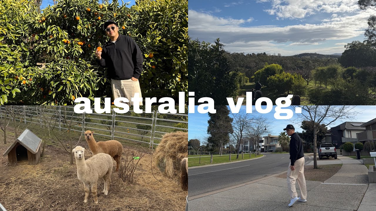 BACK IN AUSTRALIA ⟡ arrival, Melbourne cbd, & fruit picking at yarra valley