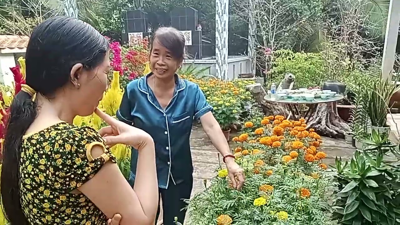 20/12/25 âm lịch tảo mộ xong
