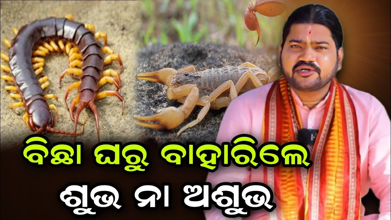 BICHHA GHARU BAHARILE SUVHA NAA ASUVHA//@BHABADIBAKAR