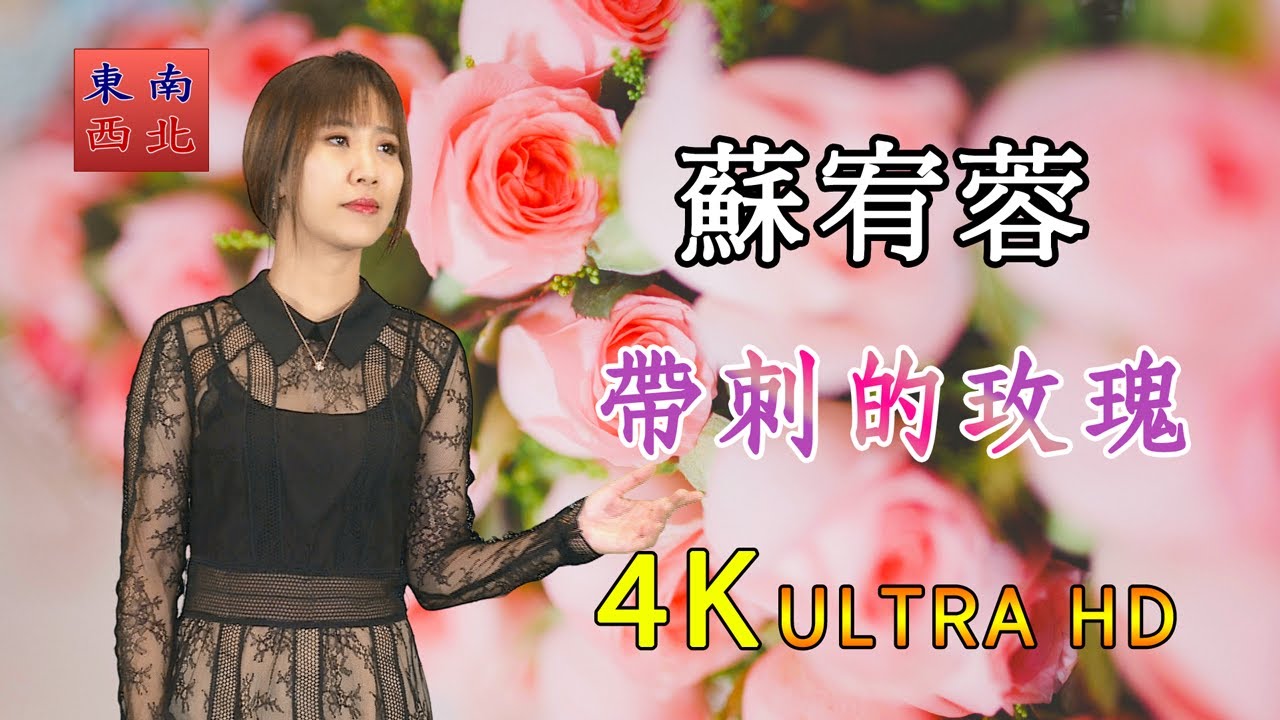 4K國語歌曲 蘇宥蓉 演唱 帶刺的玫瑰