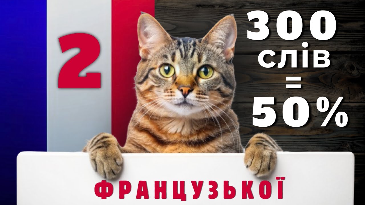Найбільш Вживані Французькі ДІЄСЛОВА з Прикладами/Базова Французька/Les Verbes