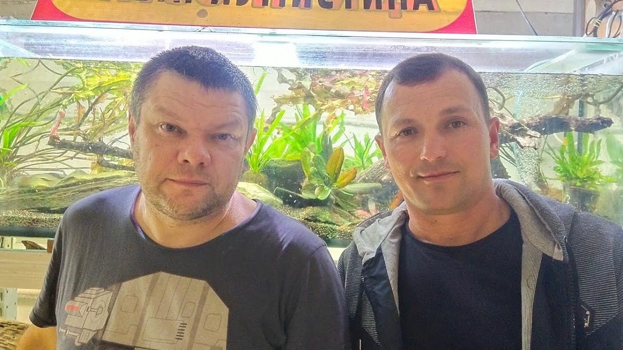 В гостях у Андрея 
