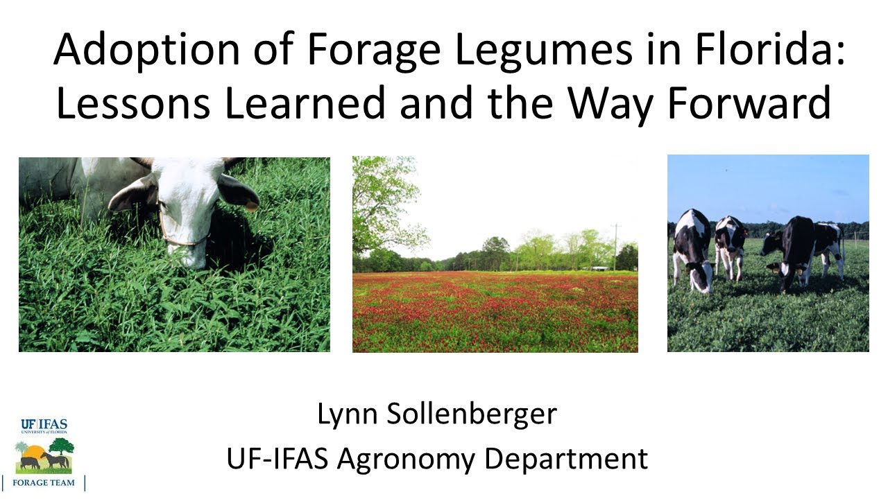 1   Adoption of Forage Legumes in Florida