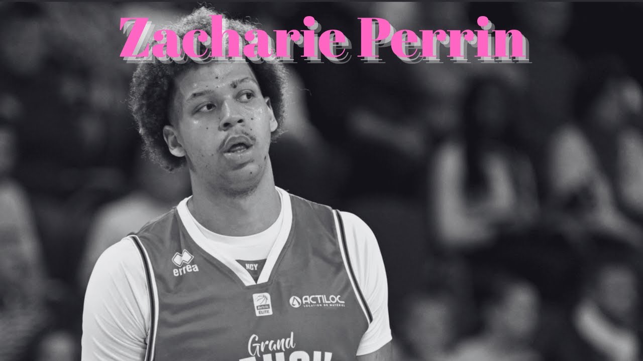 Zacharie Perrin v Chenmitz | Bundesliga BL | Full Highlights