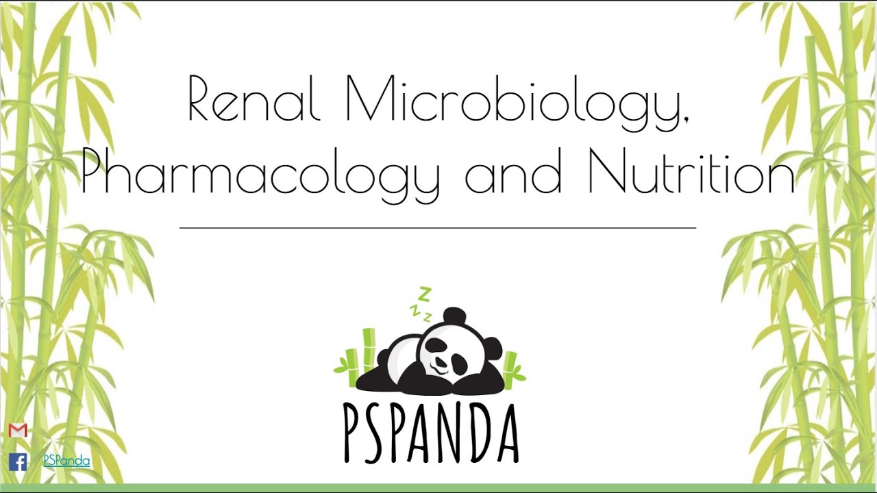 Renal Microbiology, Pharmacology and Nutrition