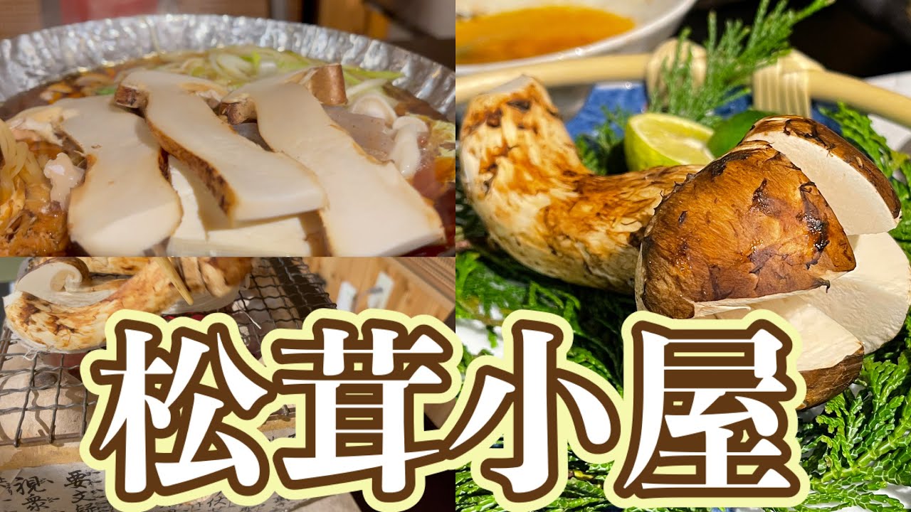 松茸小屋 二幸園 Matsutake House 松茸料理 松茸鍋 土瓶蒸し 天ぷら 姿焼き 信州牛 松茸ごはん 茶碗蒸し 銀蒸し 長野県上田市グルメ Mukbang まつたけ マツタケ フルコース