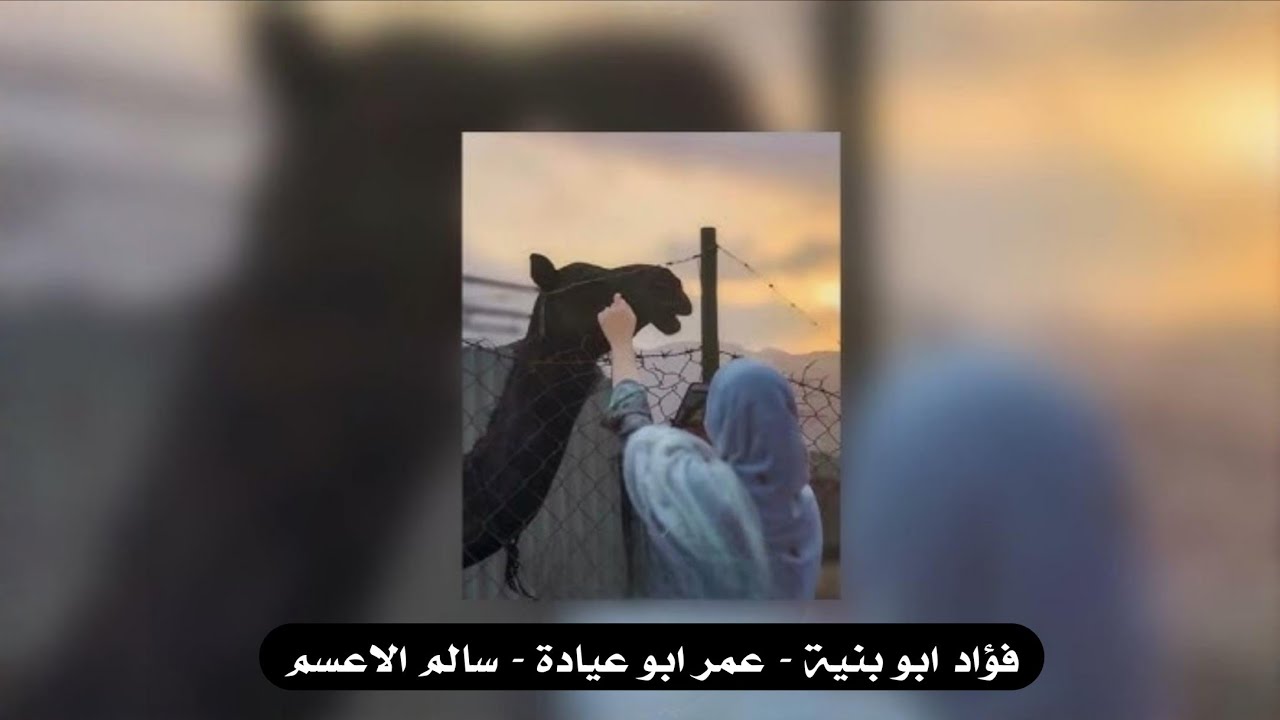  جديد 
