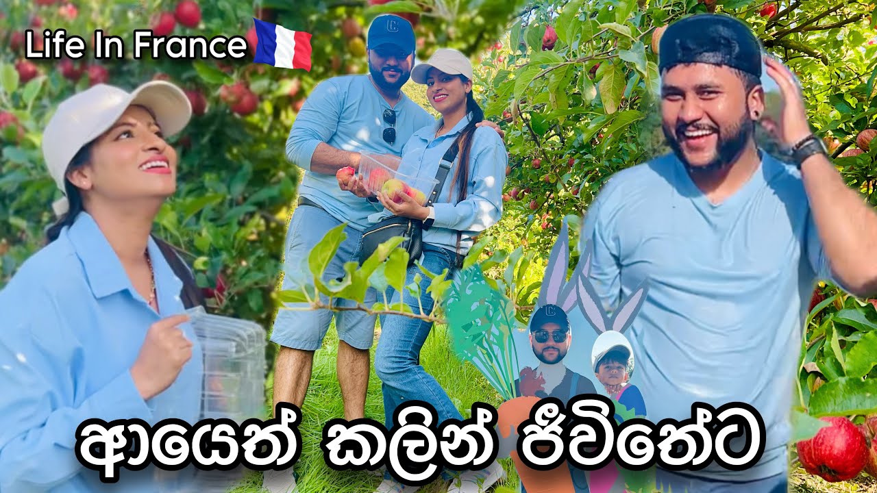 අදුරු දවස් මැදින් සතුට හොයන අපි දෙන්නා🫀| LIFE IN FRANCE 🇫🇷|🍎#anneyelina #life #couple #dailyvlog