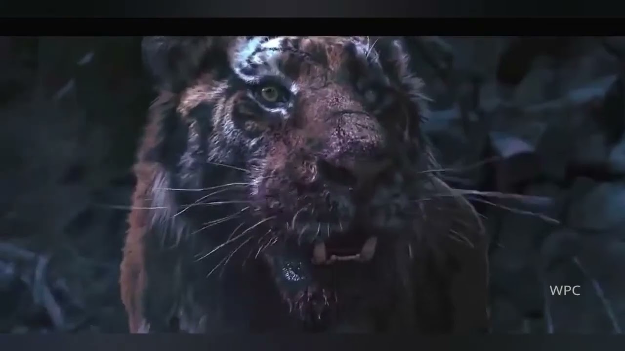 Tiger and Lion Roar | The most badass roar in the movies