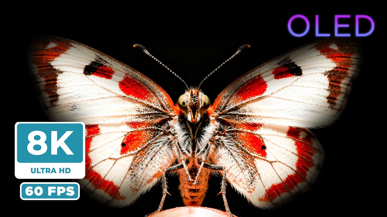 Природа 8K 60FPS — Лучшее эталонное тестовое видео для OLED